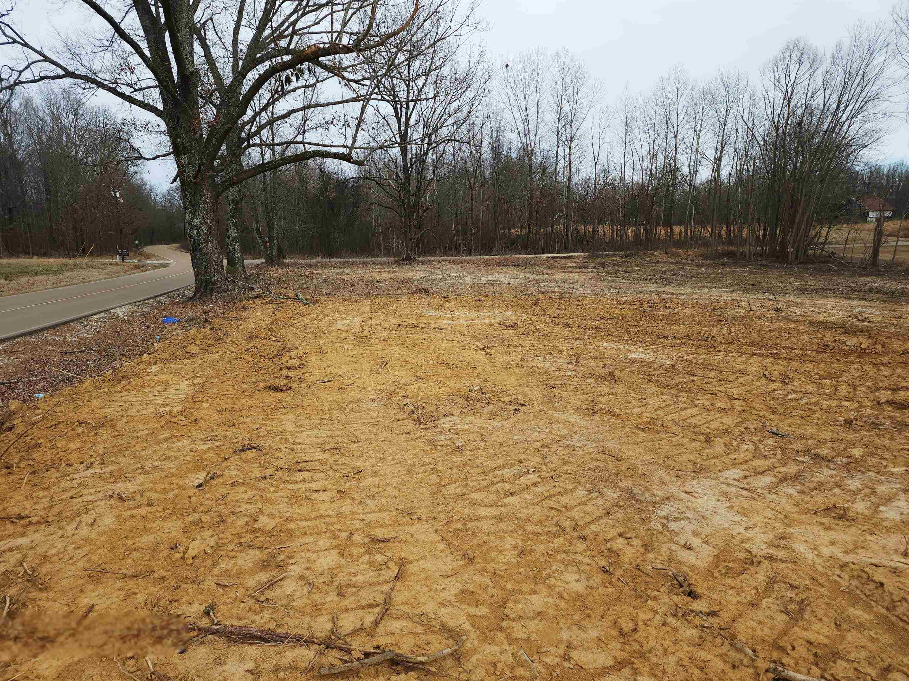 0 Brighton-Clopton Road Brighton, TN 38011 - Photo 2 of 17 a view of pool with trees