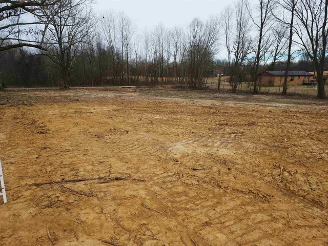 a view of a yard with trees