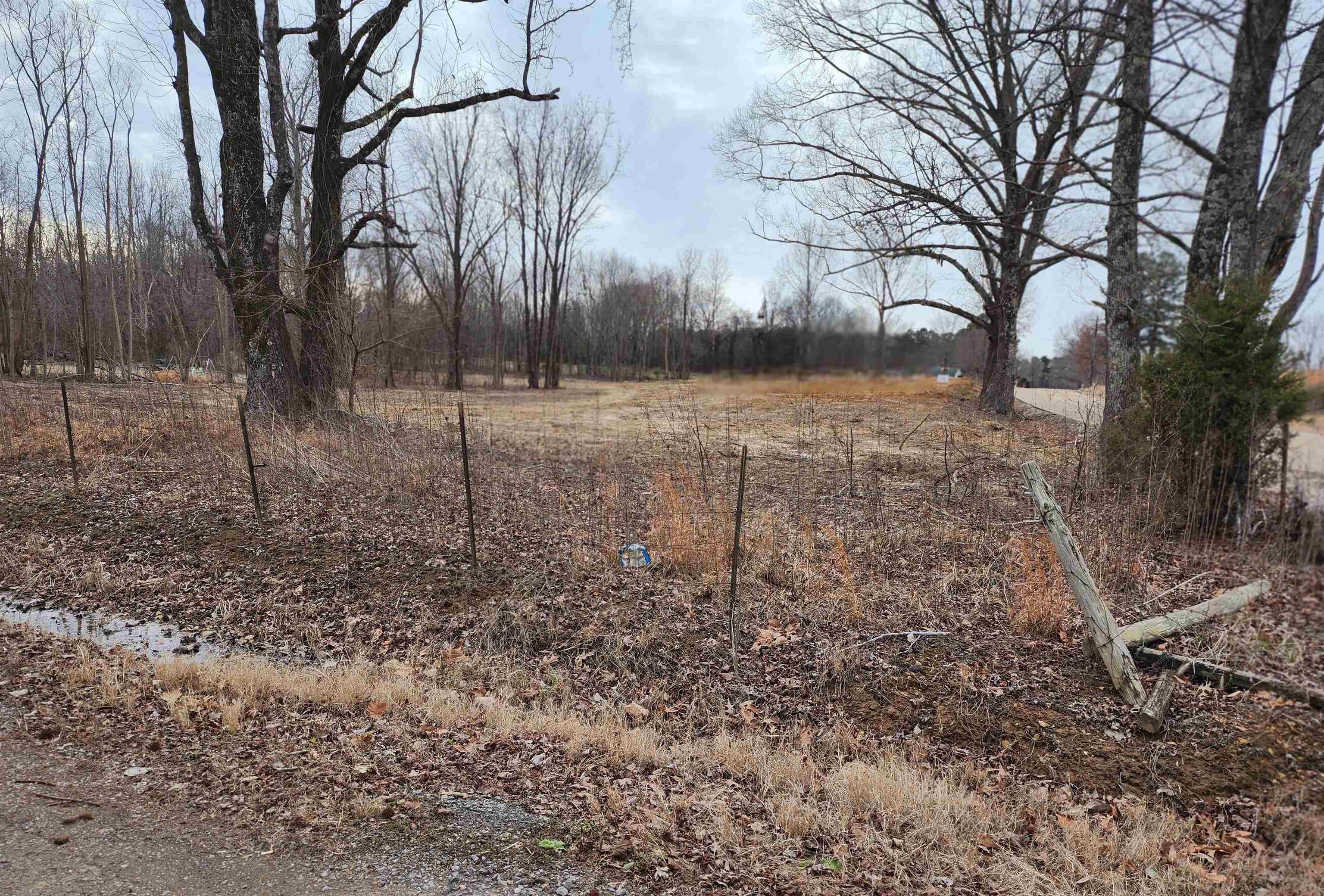 0 Brighton-Clopton Road Brighton, TN 38011 - Photo 5 of 17 a view of a yard covered with trees