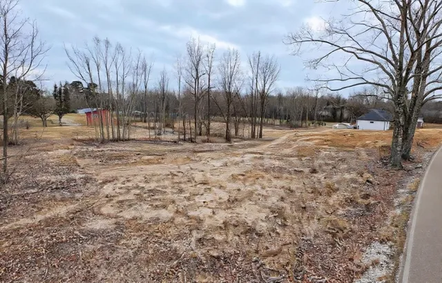 a view of backyard with wooden fence