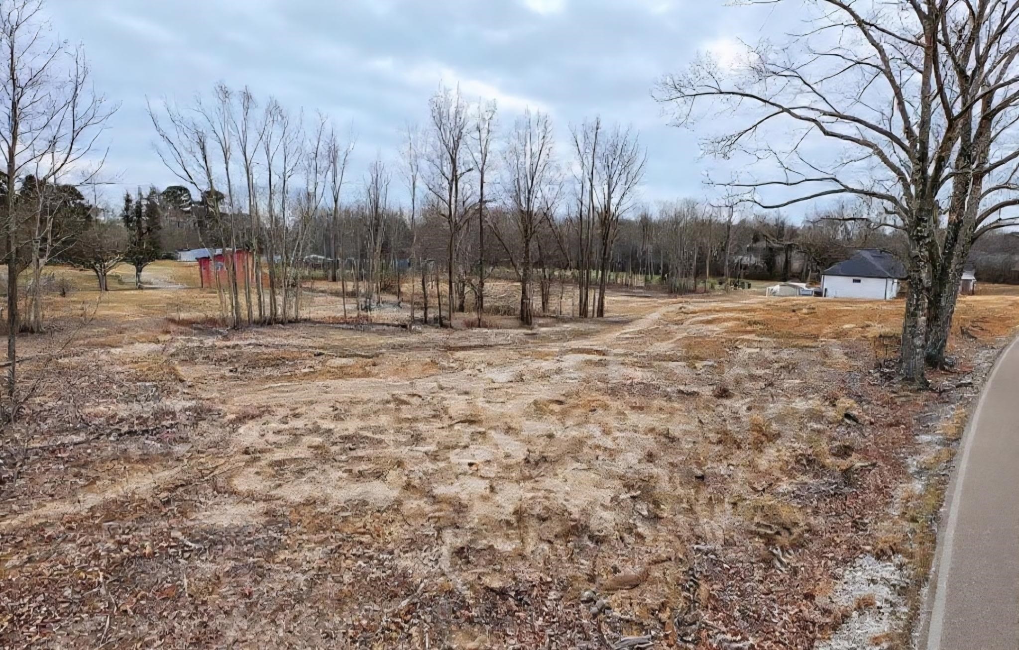 0 Brighton-Clopton Road Brighton, TN 38011 - Photo 8 of 17 a view of backyard with wooden fence