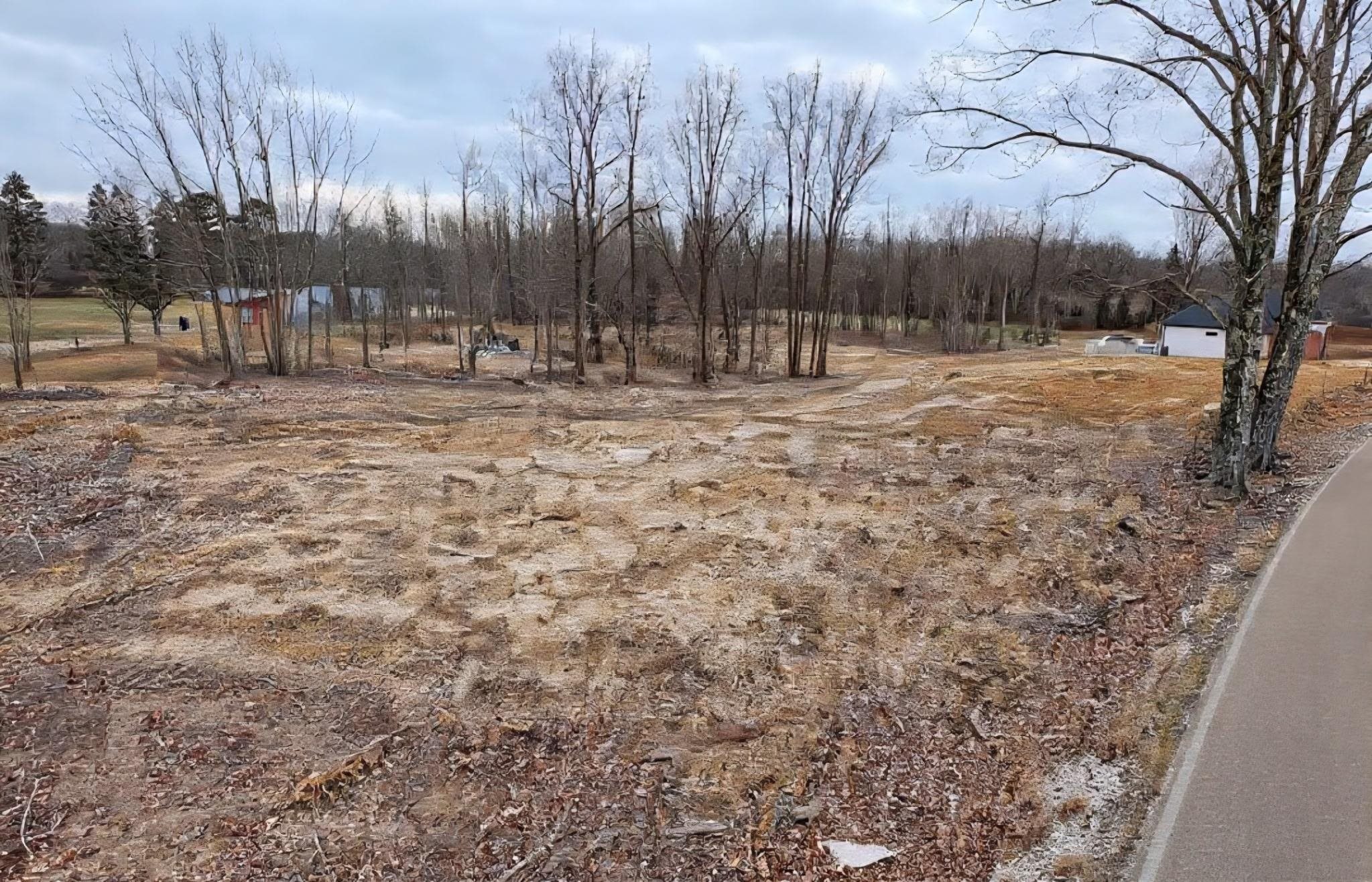 0 Brighton-Clopton Road Brighton, TN 38011 - Photo 9 of 17 a view of outdoor space with trees