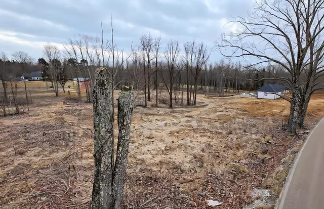 a view of a yard with a house