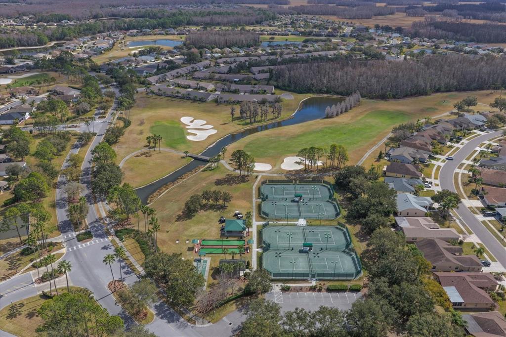 1237 Rambling Vine Court Trinity, FL 34655 - Photo 73 of 76