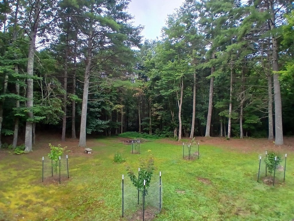3427 Hebron Road Galax, VA 24333 - Photo 35 of 35 Gallery Image 35