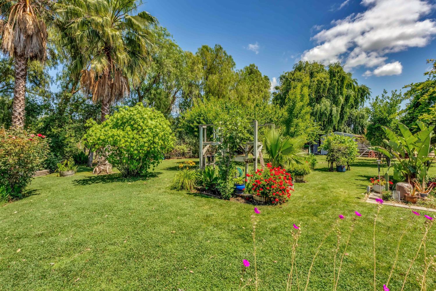 5390 Aspen Road Oakley, CA 94561 - Photo 7 of 81