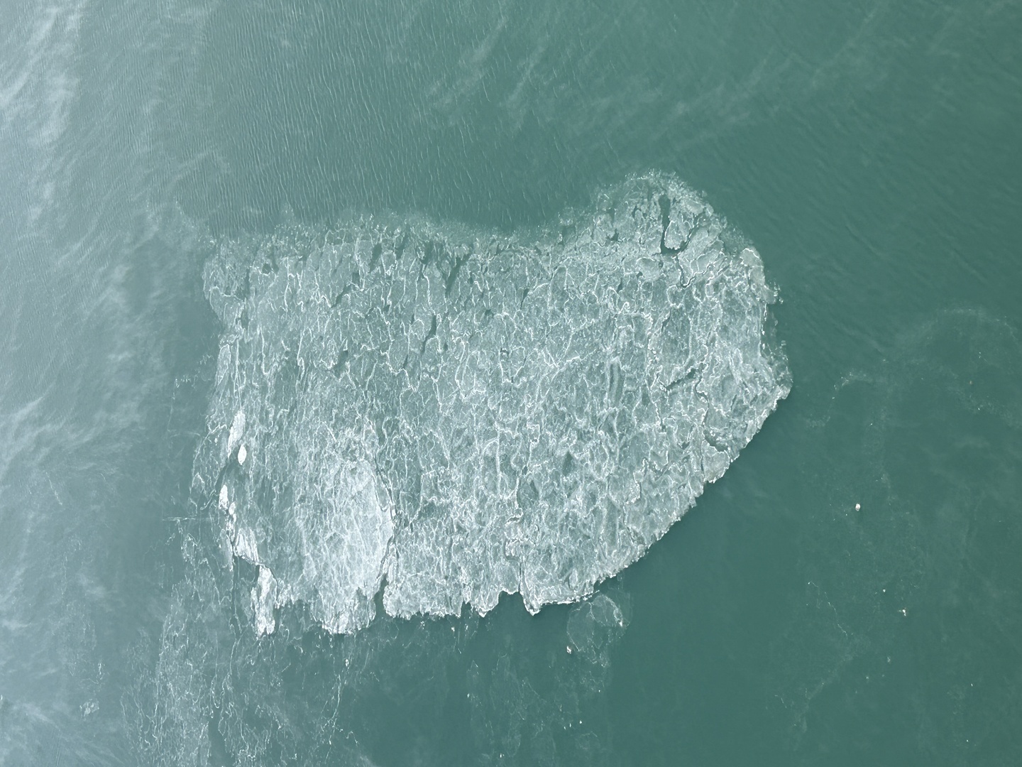 6033 North Sheridan Road, Unit 35F Chicago, IL 60660 - Photo 59 of 89