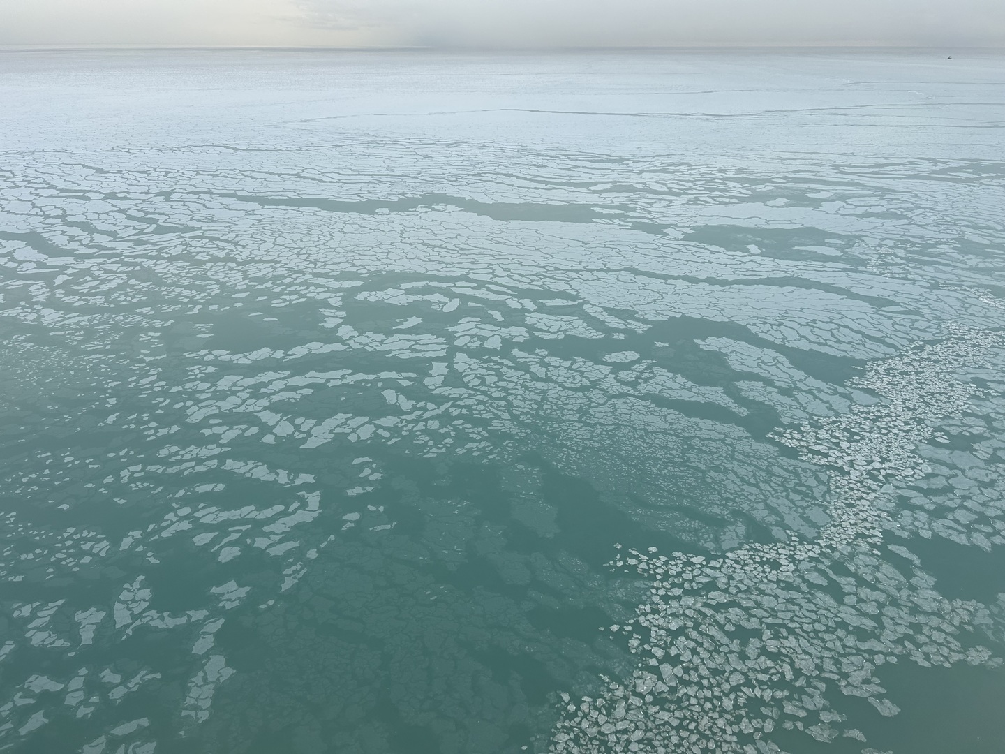 6033 North Sheridan Road, Unit 35F Chicago, IL 60660 - Photo 76 of 89