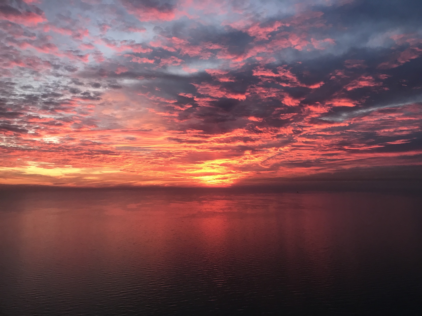 6033 North Sheridan Road, Unit 35F Chicago, IL 60660 - Photo 78 of 89