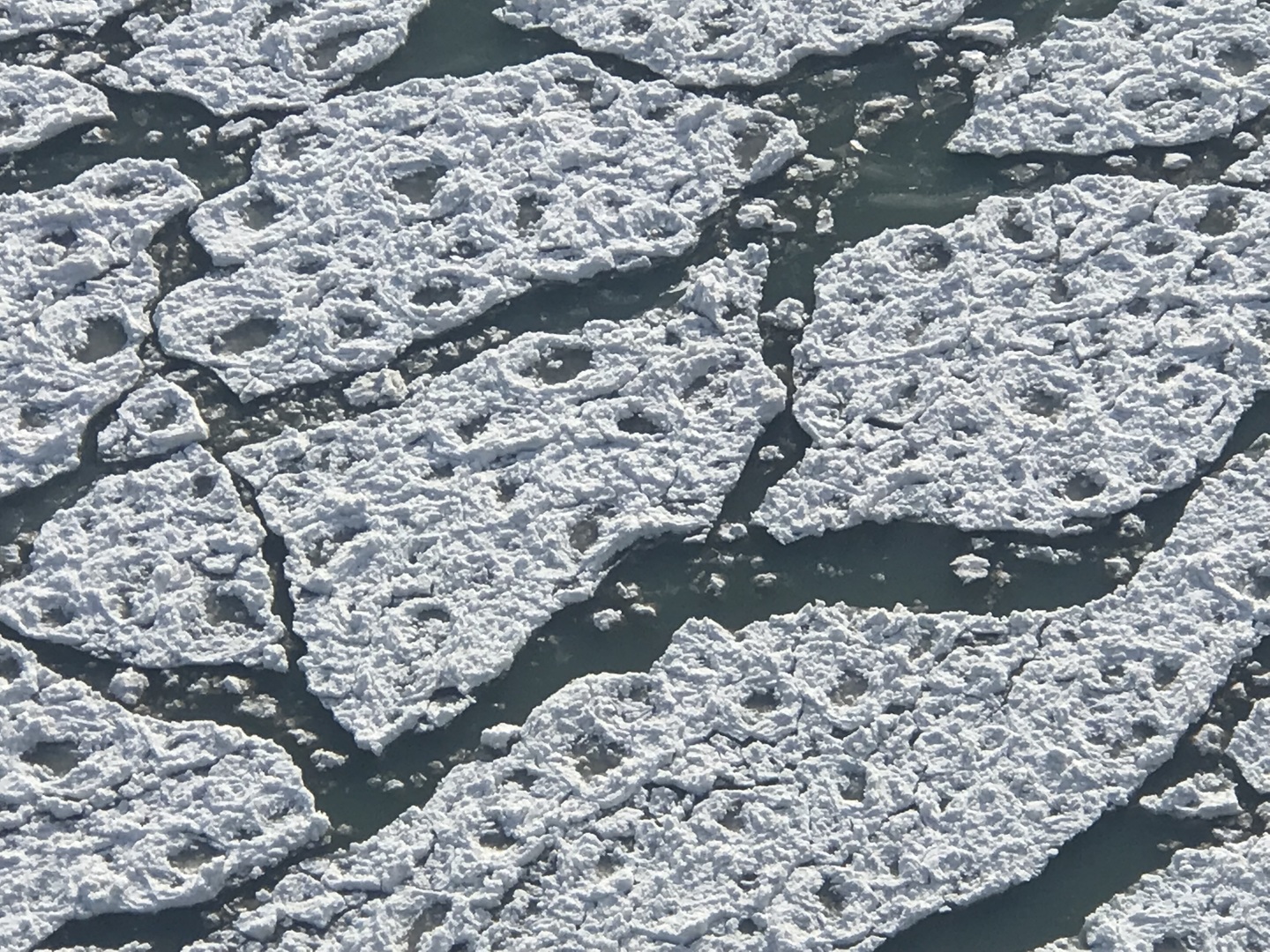 6033 North Sheridan Road, Unit 35F Chicago, IL 60660 - Photo 80 of 89