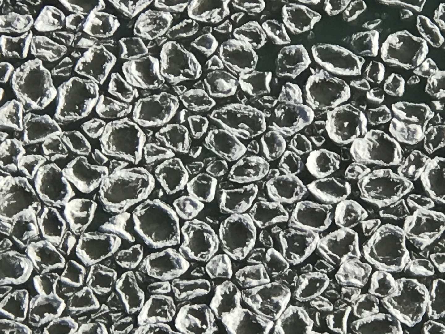 6033 North Sheridan Road, Unit 35F Chicago, IL 60660 - Photo 82 of 89