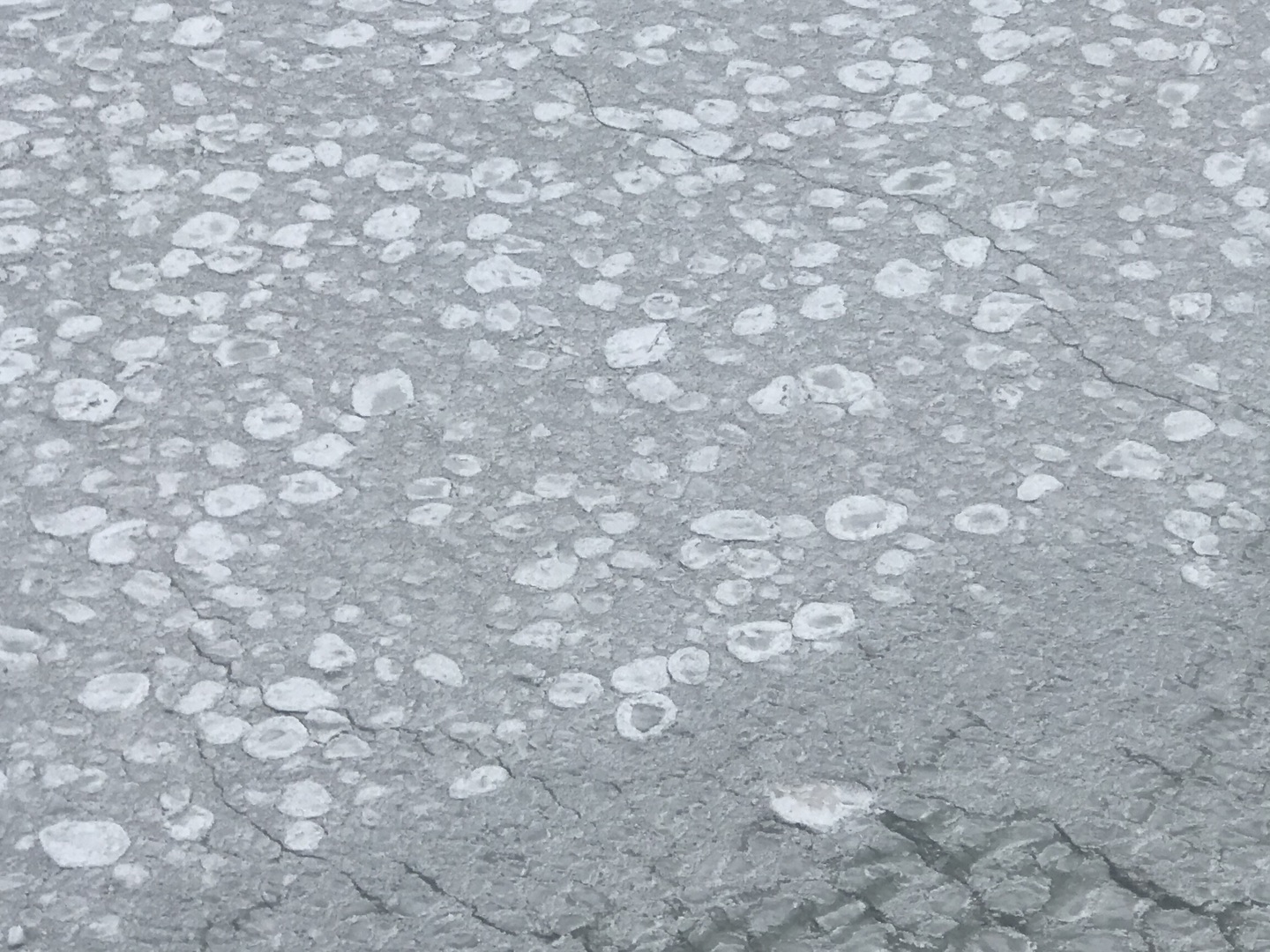 6033 North Sheridan Road, Unit 35F Chicago, IL 60660 - Photo 88 of 89