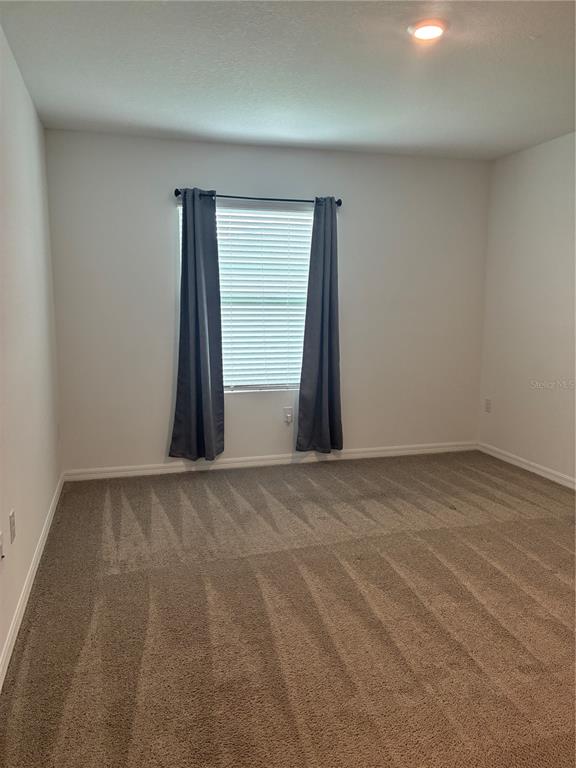 1550 Ranchette Road Wesley Chapel, FL 33543 - Photo 18 of 30