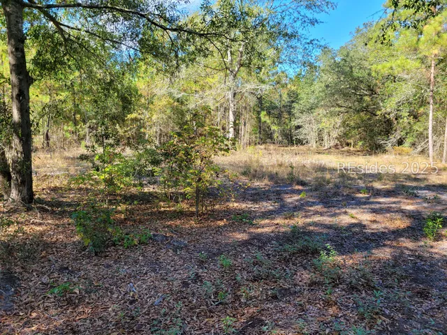 $79,900 | Tbd Tbd Beaver Creek Place, Ridgeland, SC 29936