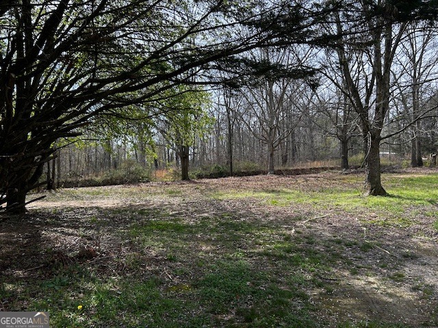 676 B B Bailey Road Hartwell, GA 30643 - Photo 3 of 6