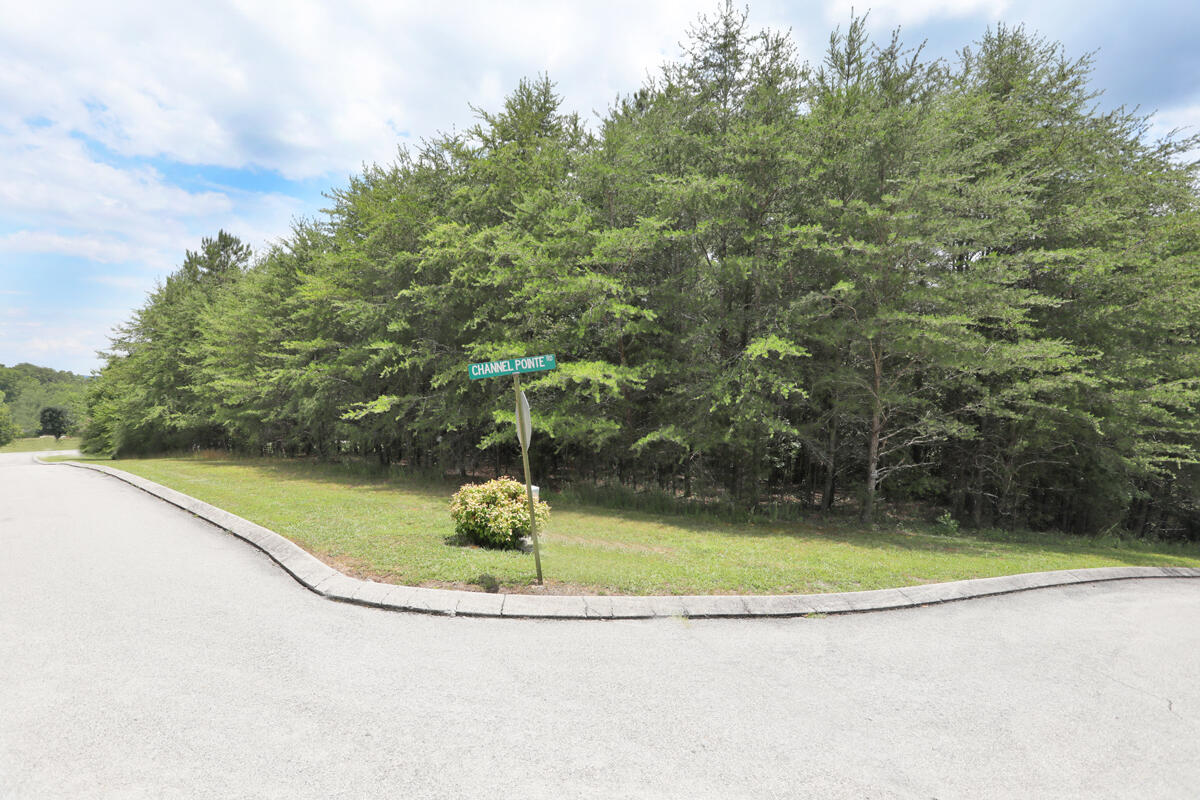 0 Riversound Drive, Unit LOT 21 Dayton, TN 37321 - Photo 2 of 5 IMGL0521 copy
