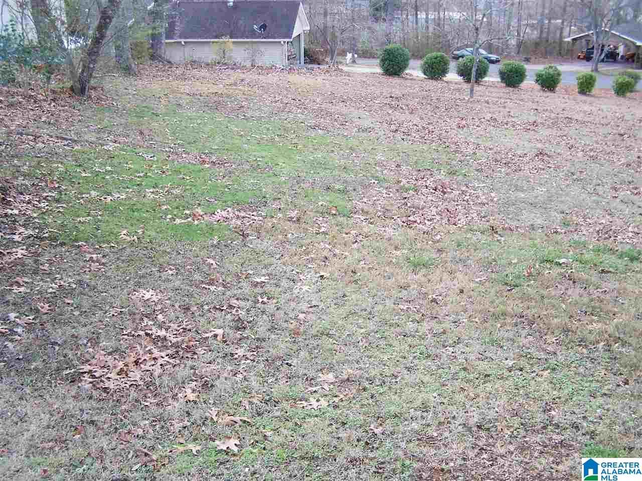 703 Ridgeway Drive Oneonta, AL 35121 - Photo 5 of 21