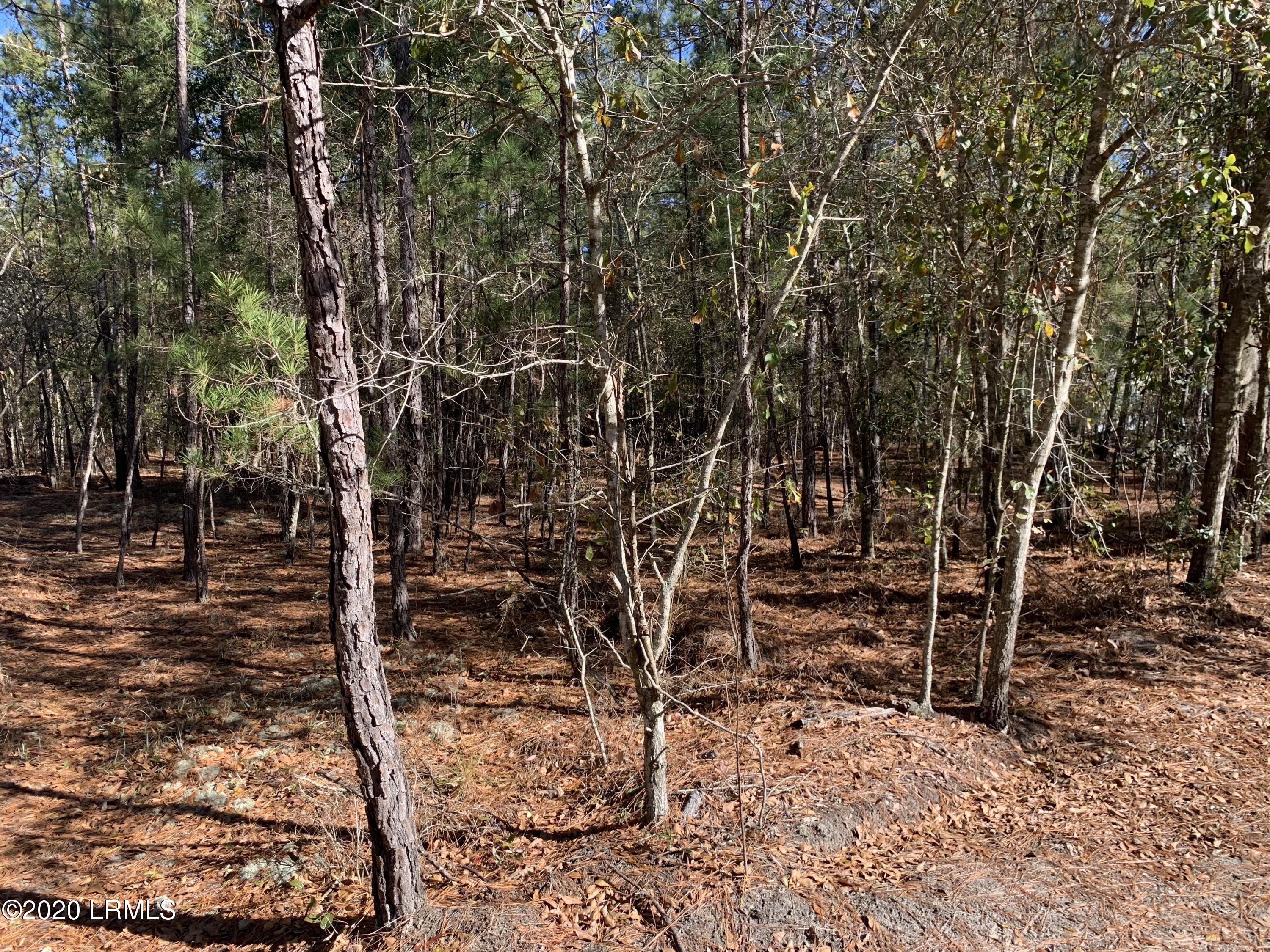 0 Pne Frst Loop Ridgeland, SC 29936 - Photo 1 of 2 IMG_6217
