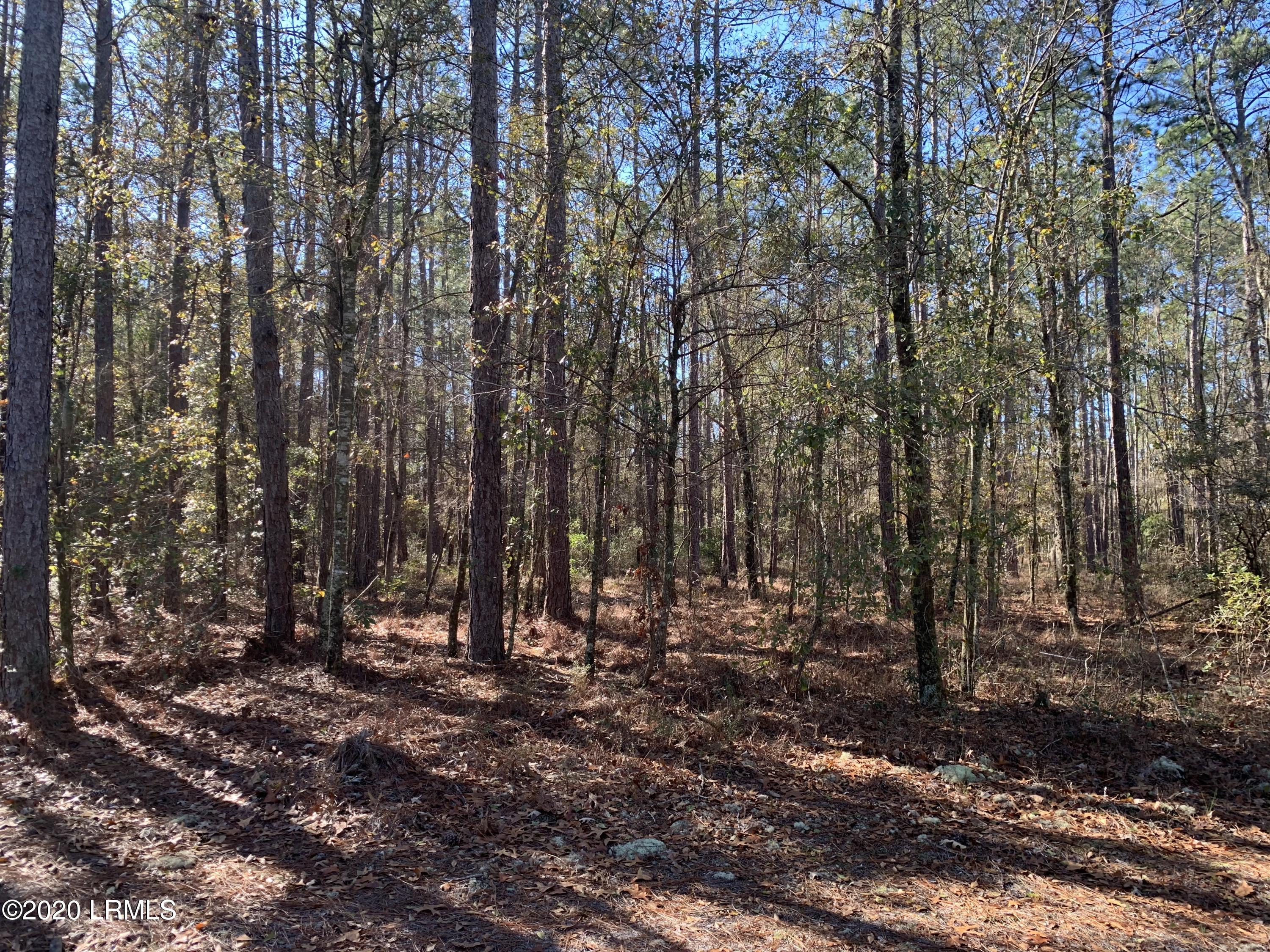 0 Pne Frst Loop Ridgeland, SC 29936 - Photo 2 of 2 IMG_6221