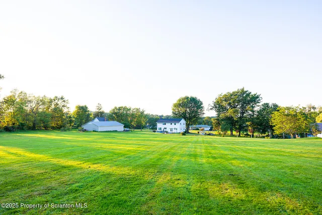 a view of a grassy field with trees