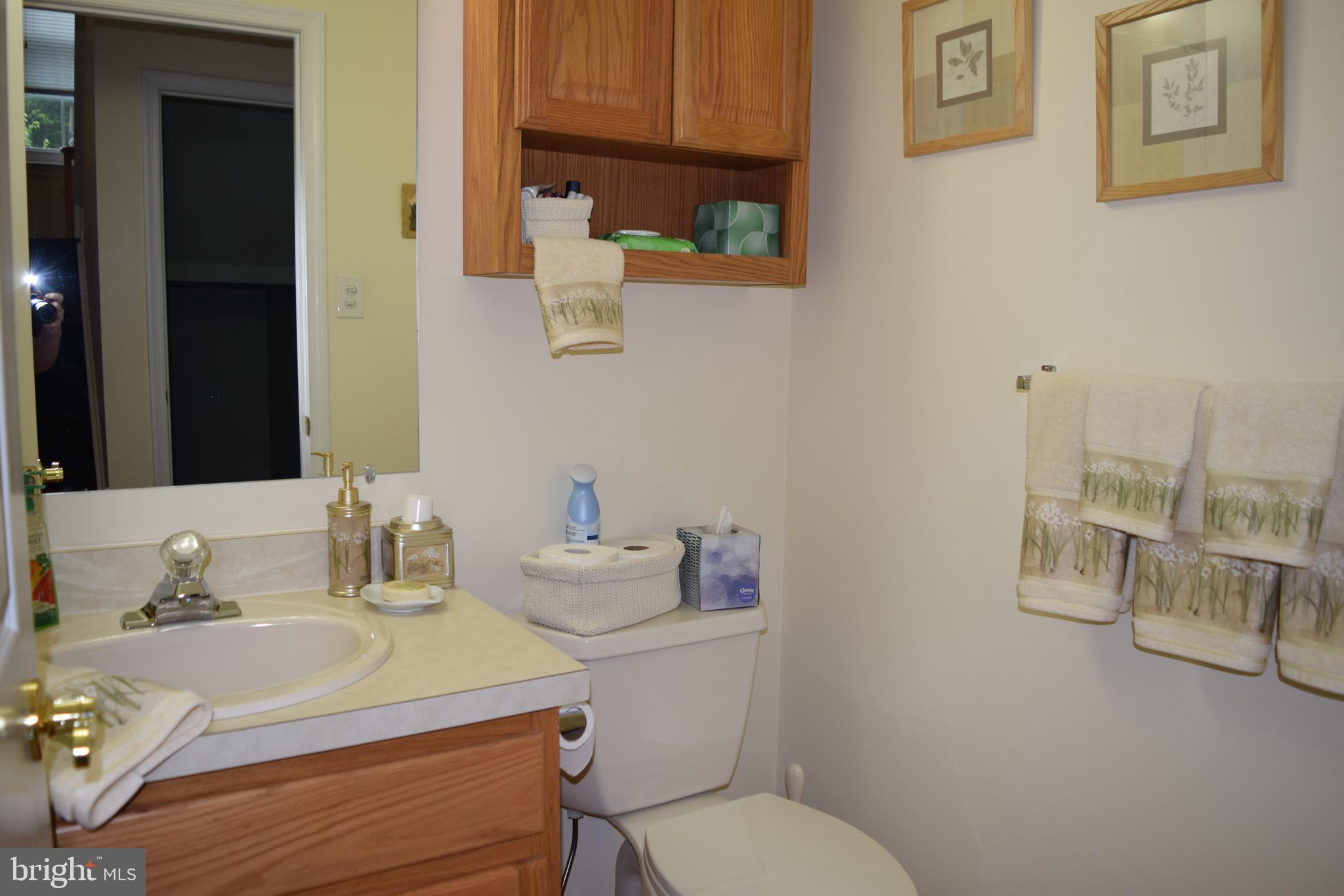 46 Threadleaf Terrace Burlington Township, NJ 08016 - Photo 11 of 23 Powder room 1st floor