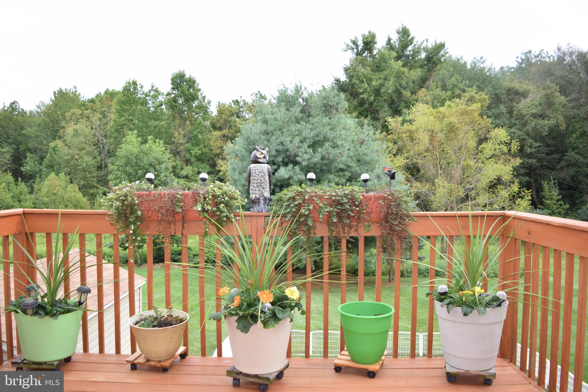 46 Threadleaf Terrace Burlington Township, NJ 08016 - Photo 12 of 23 Deck