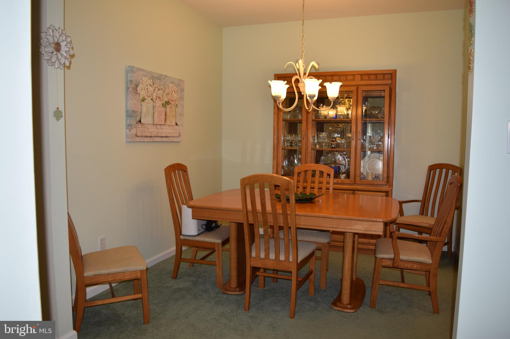 46 Threadleaf Terrace Burlington Township, NJ 08016 - Photo 13 of 23 Dining Room