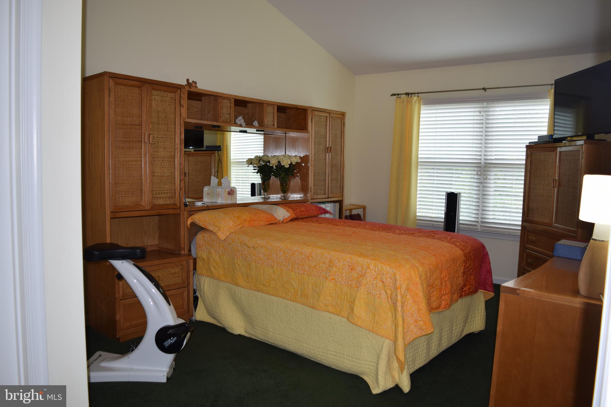 46 Threadleaf Terrace Burlington Township, NJ 08016 - Photo 16 of 23 Main bedroom w/cathedral ceiling