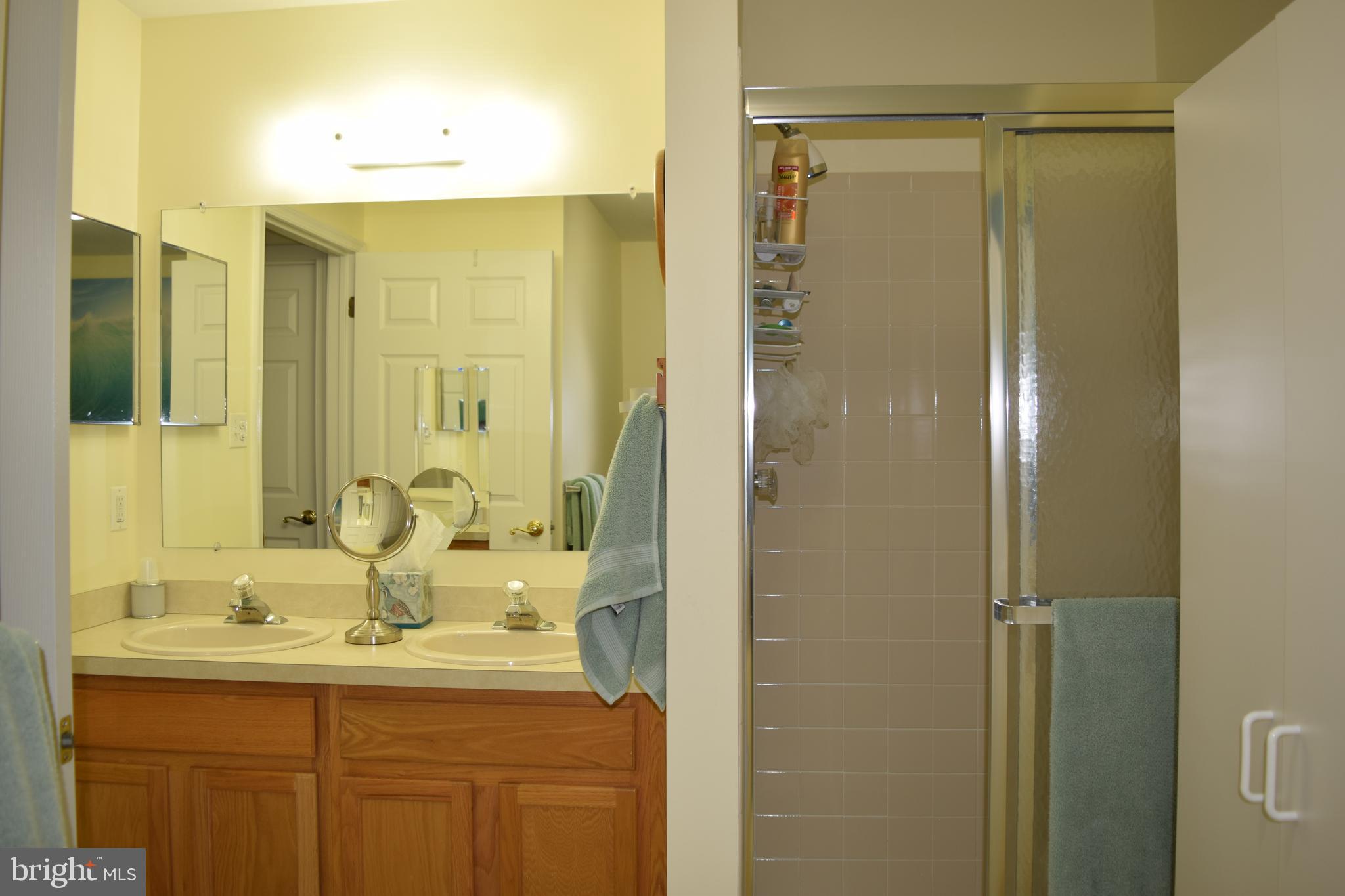 46 Threadleaf Terrace Burlington Township, NJ 08016 - Photo 18 of 23 Master bath