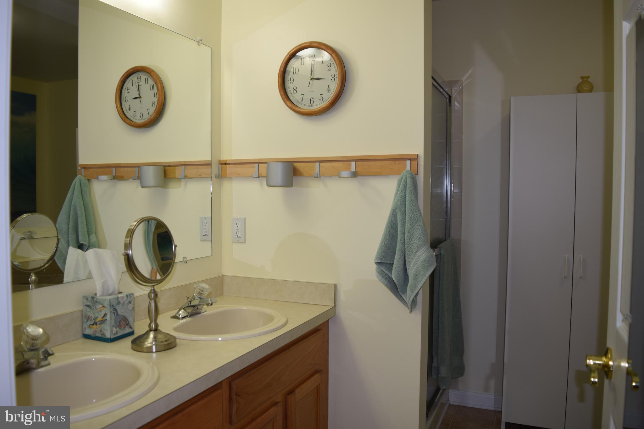 46 Threadleaf Terrace Burlington Township, NJ 08016 - Photo 19 of 23 Master Bath