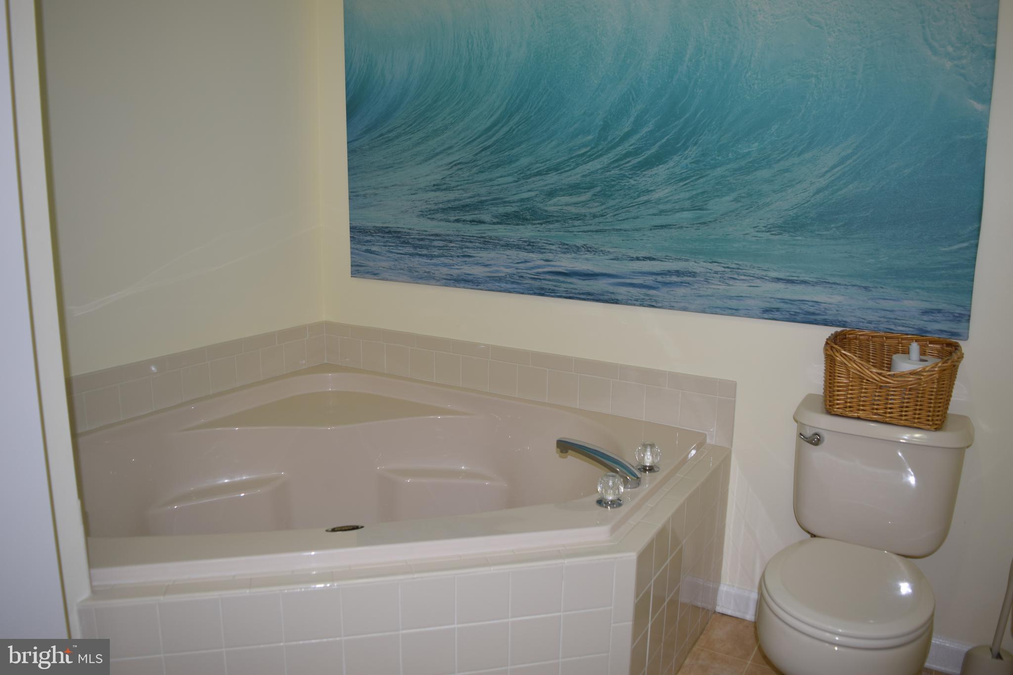 46 Threadleaf Terrace Burlington Township, NJ 08016 - Photo 20 of 23 Master bath corner soaking tub