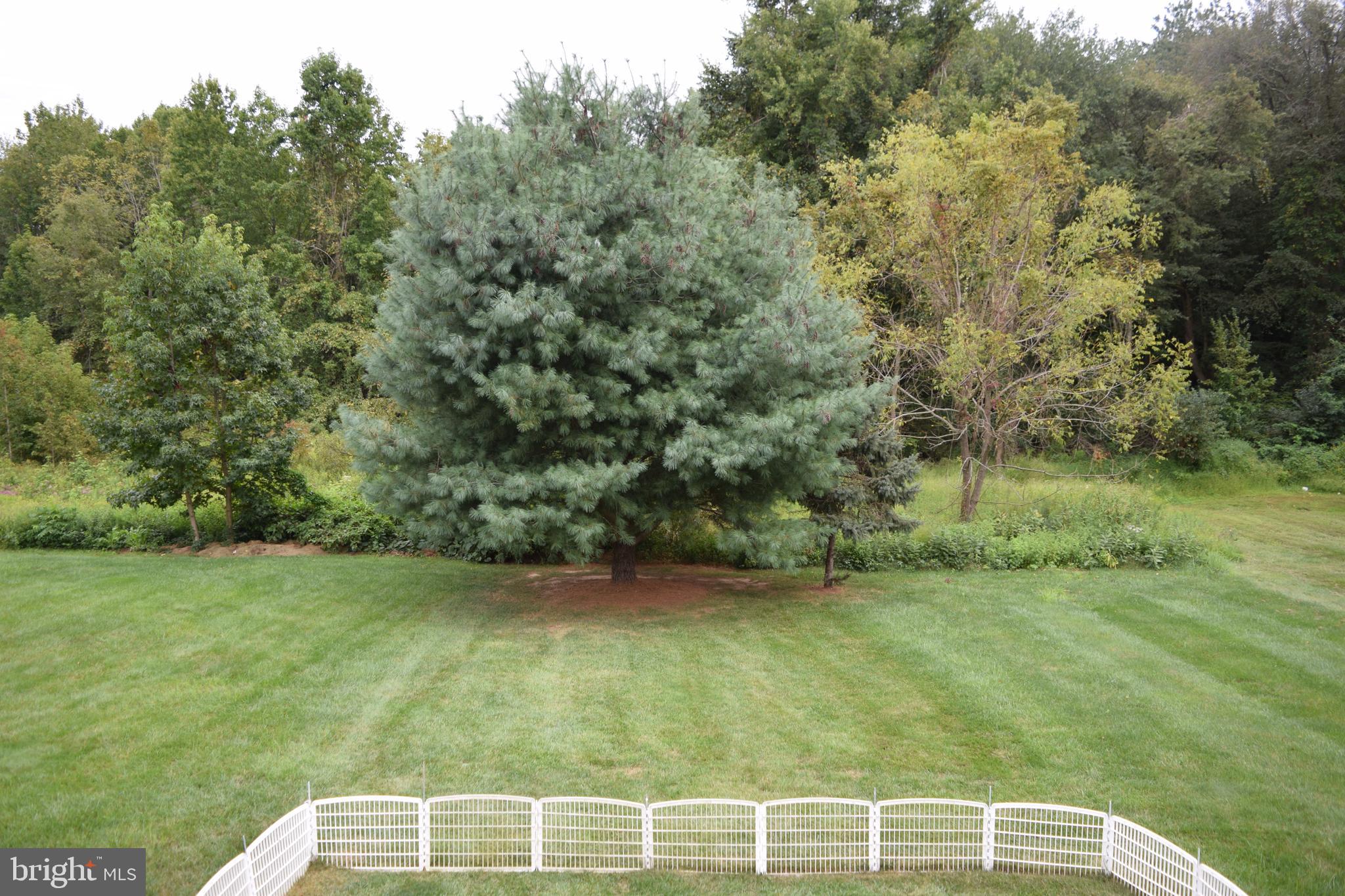 46 Threadleaf Terrace Burlington Township, NJ 08016 - Photo 3 of 23 View from deck