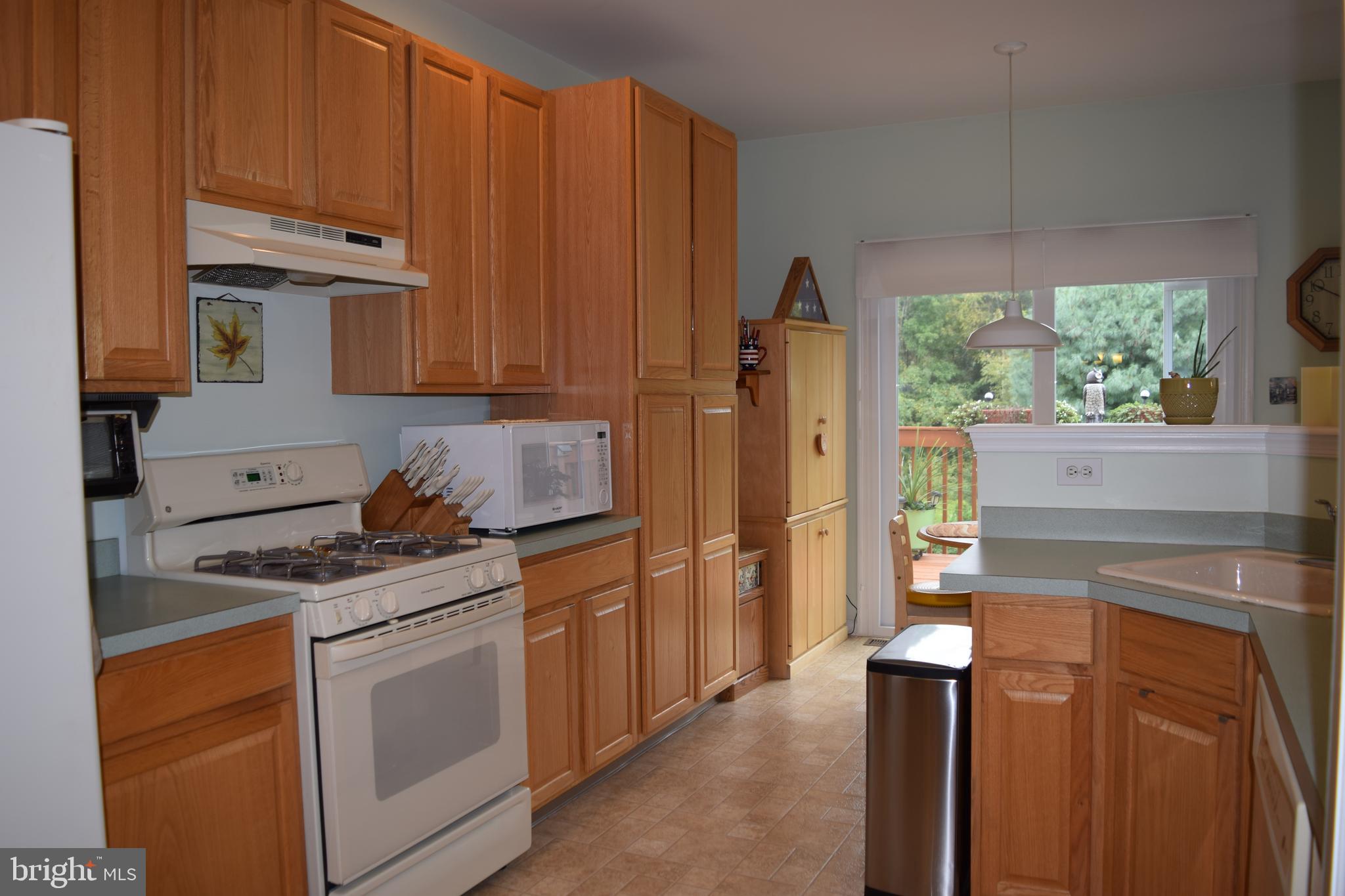 46 Threadleaf Terrace Burlington Township, NJ 08016 - Photo 7 of 23 Kitchen