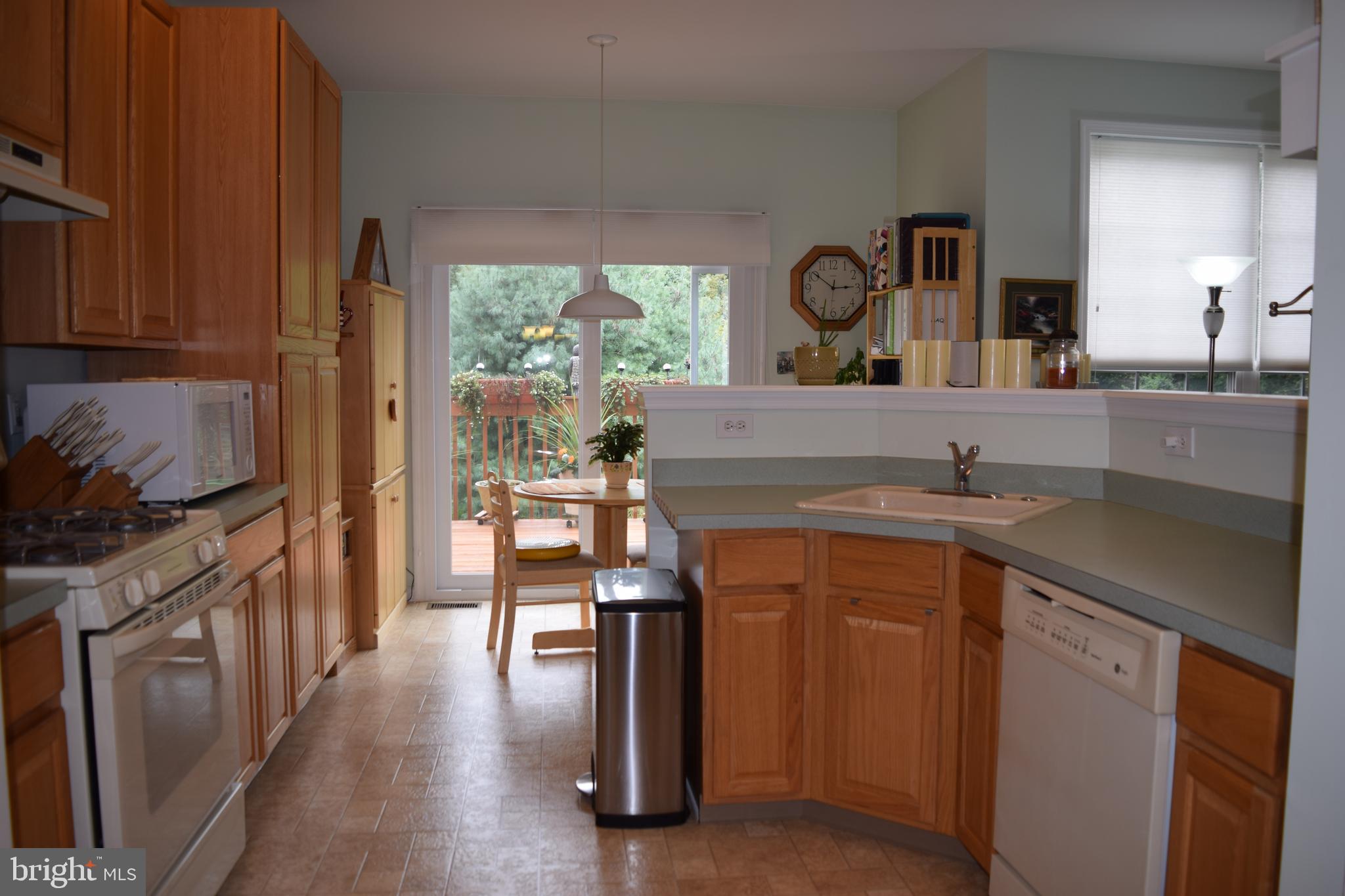 46 Threadleaf Terrace Burlington Township, NJ 08016 - Photo 8 of 23 Kitchen showing dinnette area