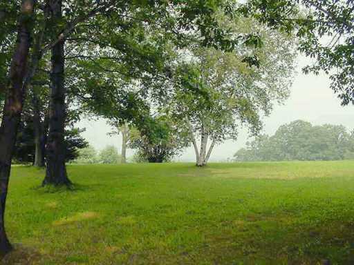 357 Thomas Road Ligonier, PA 15658 - Photo 2 of 7 Gallery Image 2