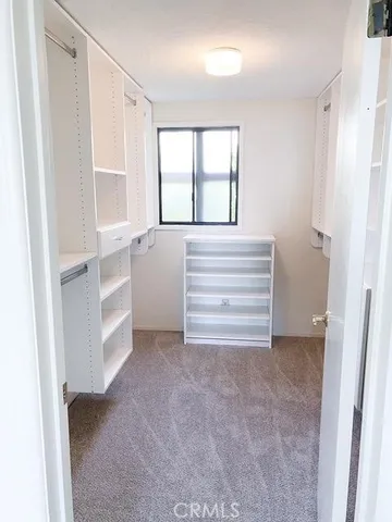 a view of closet area with rug