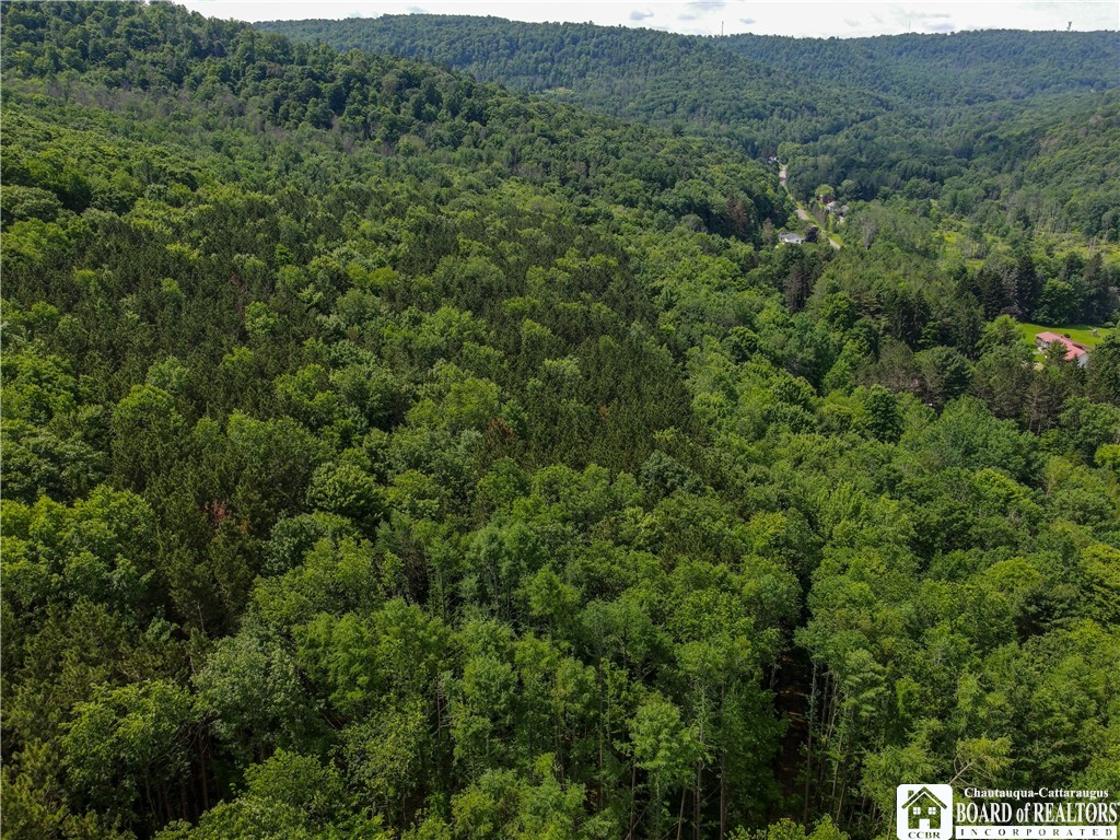 738 4 Mile Road Allegany, NY 14706 - Photo 11 of 18