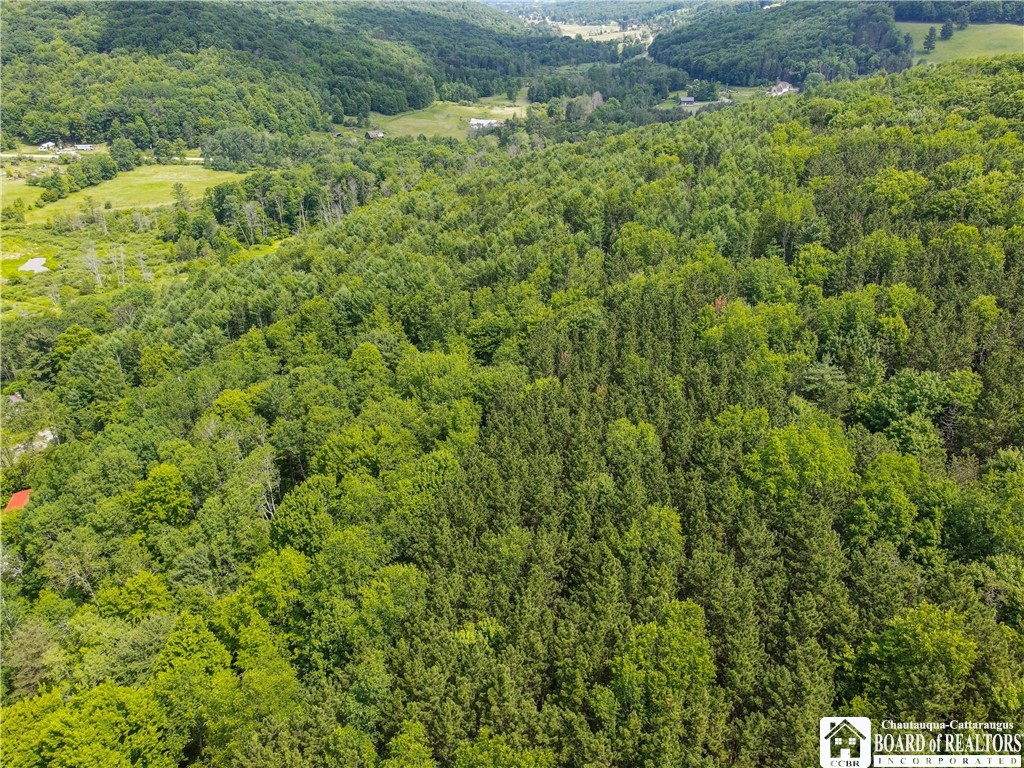 738 4 Mile Road Allegany, NY 14706 - Photo 12 of 18