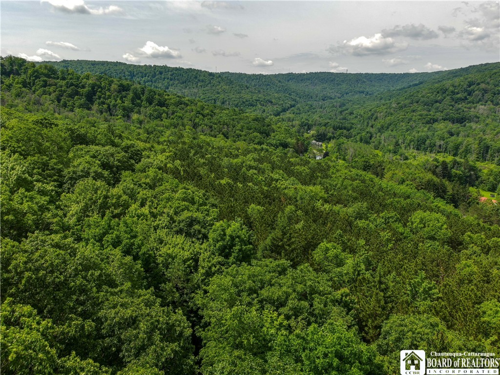 738 4 Mile Road Allegany, NY 14706 - Photo 13 of 18