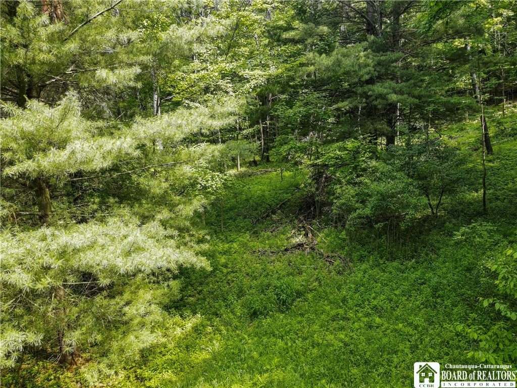 738 4 Mile Road Allegany, NY 14706 - Photo 14 of 18