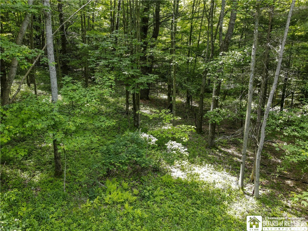 738 4 Mile Road Allegany, NY 14706 - Photo 15 of 18