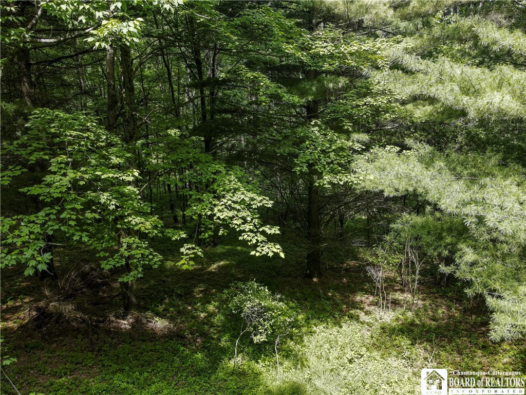 738 4 Mile Road Allegany, NY 14706 - Photo 16 of 18