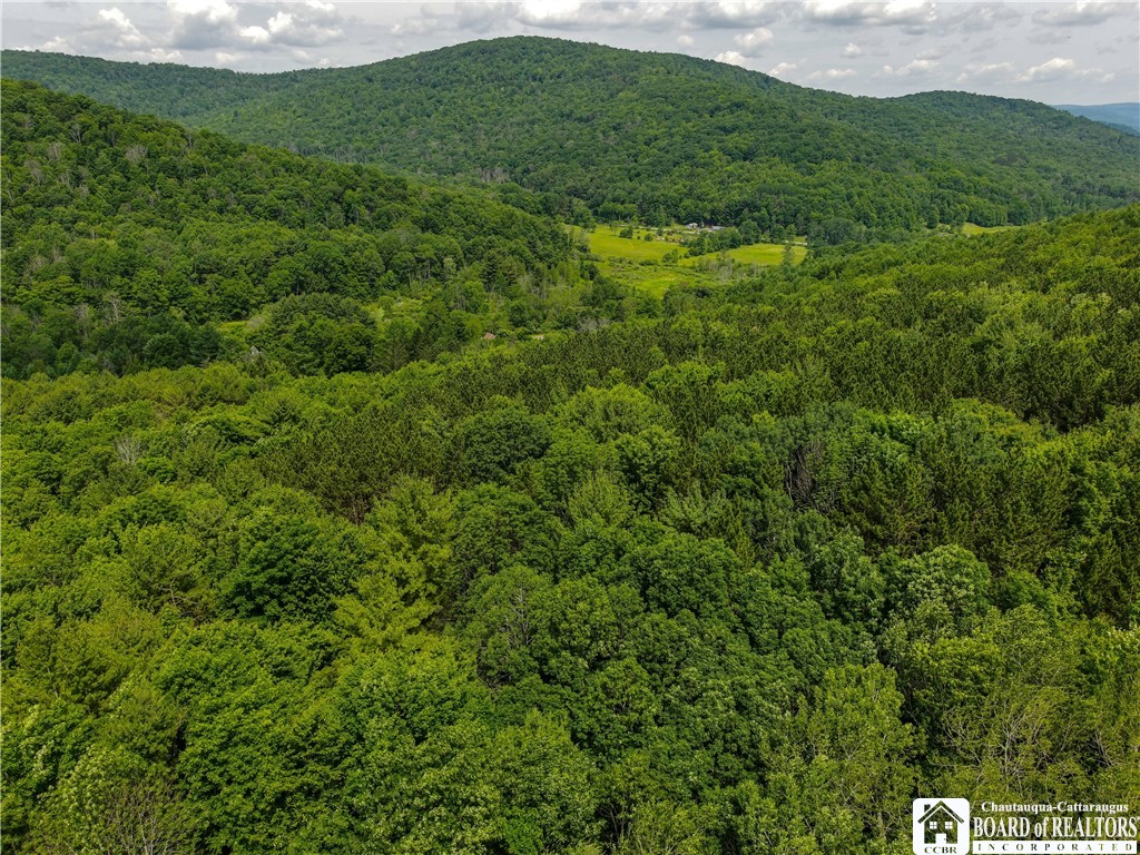 738 4 Mile Road Allegany, NY 14706 - Photo 17 of 18