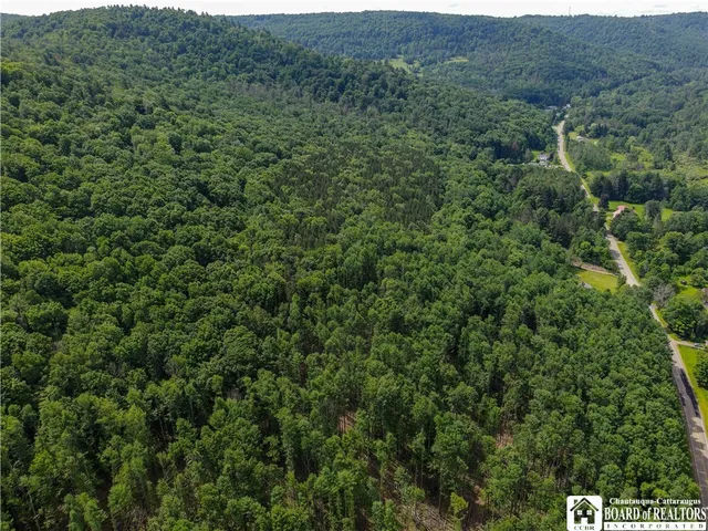 $79,900 | 738 4 Mile Road, Allegany, NY 14706