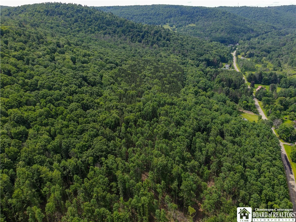 738 4 Mile Road Allegany, NY 14706 - Photo 2 of 18