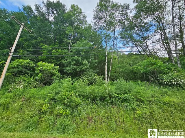 $79,900 | 738 4 Mile Road, Allegany, NY 14706