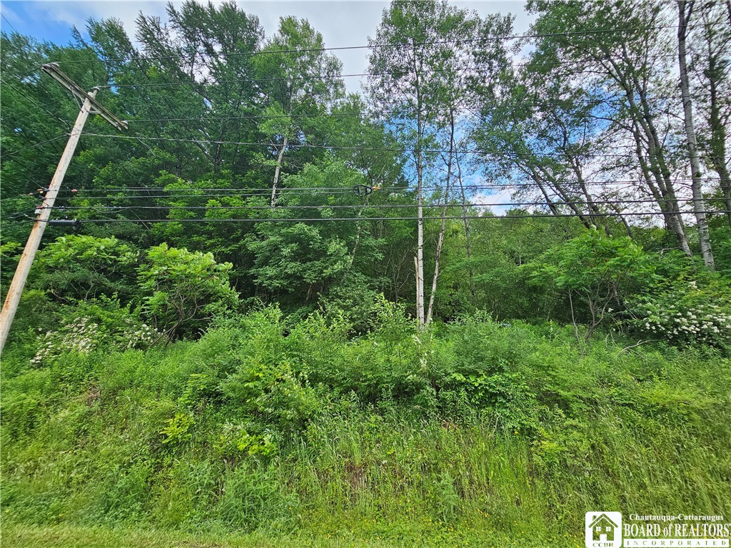 738 4 Mile Road Allegany, NY 14706 - Photo 3 of 18