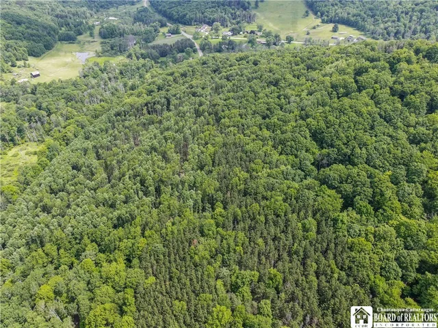 $79,900 | 738 4 Mile Road, Allegany, NY 14706