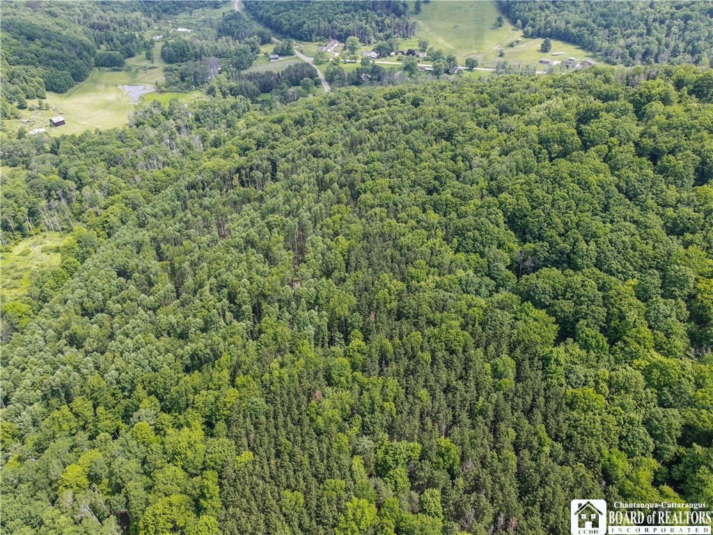 738 4 Mile Road Allegany, NY 14706 - Photo 4 of 18