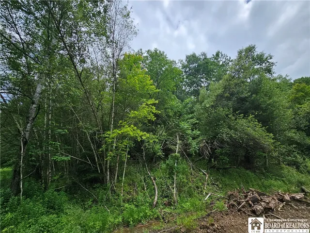 $79,900 | 738 4 Mile Road, Allegany, NY 14706